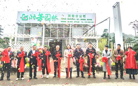 ˷xf187Ϸֹ˾ʢҵսг