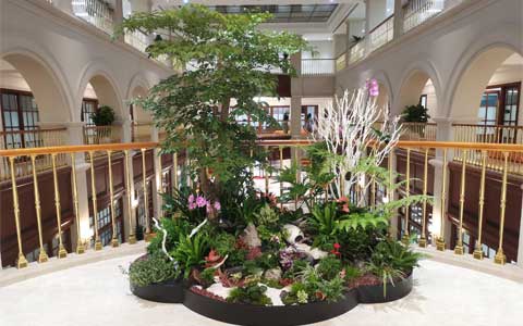 ˷xf187ٻΪǰعոͨ...